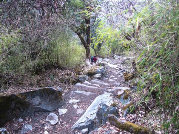 Annapurna Base Camp - 9 Hari ABC Trekking Tanpa Guide & Porter Lengkap 4 Trek ke Desa Bamboo