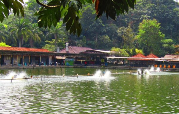 kolam pancing Fishing Valley Bogor