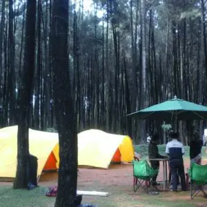 camping ground hutan pinus gunung pancar