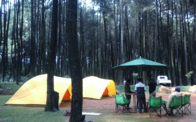 camping ground hutan pinus gunung pancar
